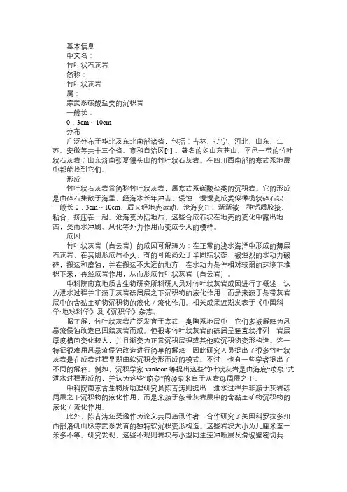 百科知识精选竹叶状灰岩