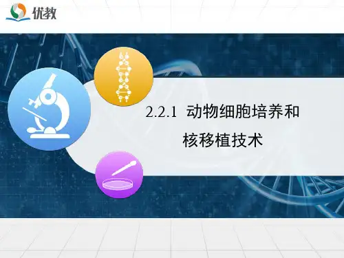 人教版《动物细胞培养和核移植技术 》PPT课件1