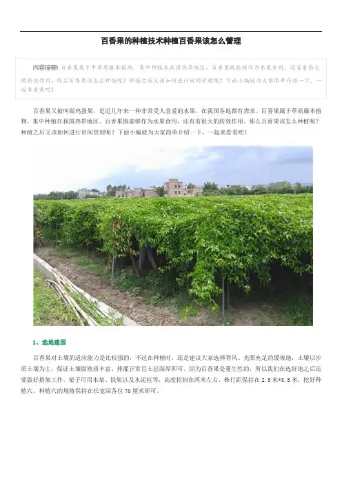 百香果的种植技术种植百香果该怎么管理