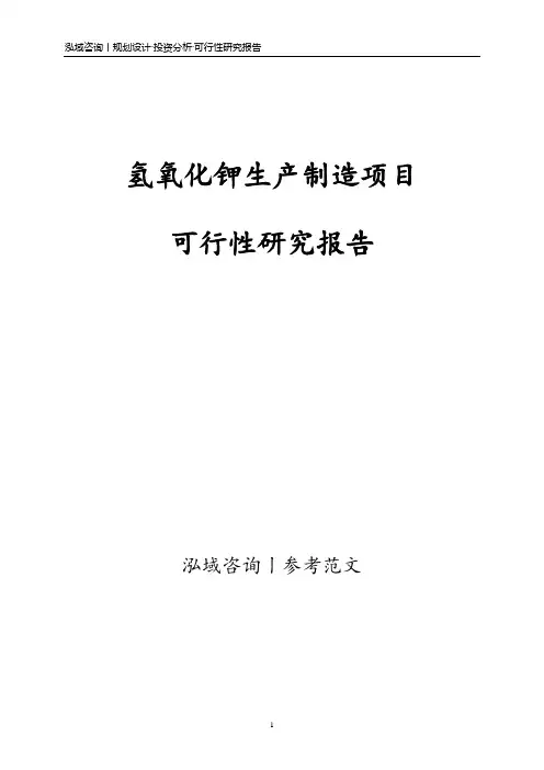氢氧化钾生产制造项目可行性研究报告