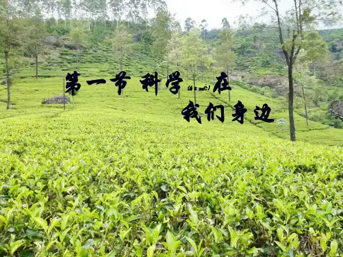 七年级科学上册第一章第一节科学在我们身边教学