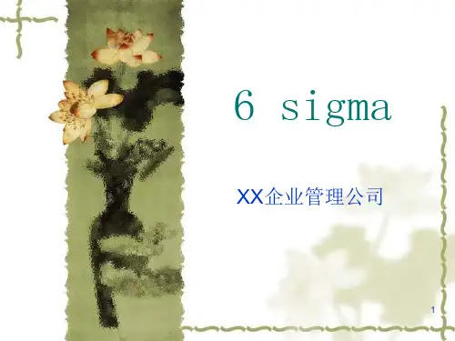 某企业管理公司 6SIGMA培训全套资料