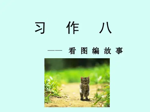 苏教版小学三年级语文下册习作8_课件1