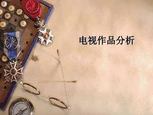 电视作品分析