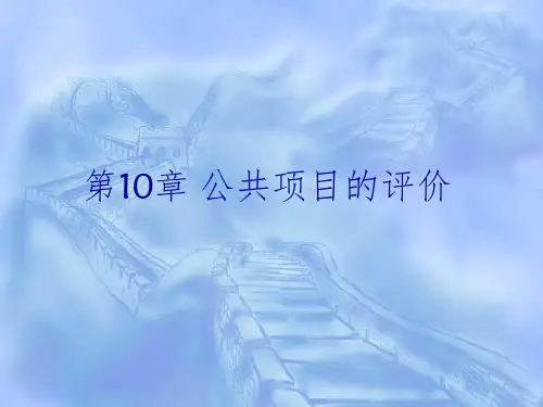 《公共项目的评价》PPT课件