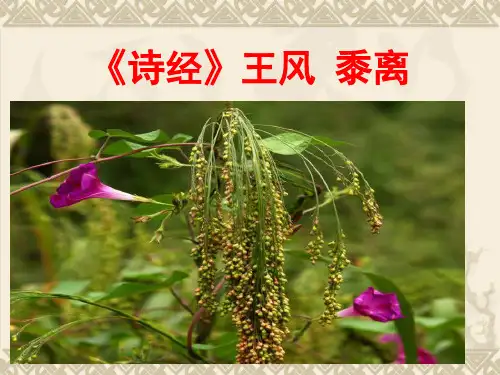 诗经·王风·黍离