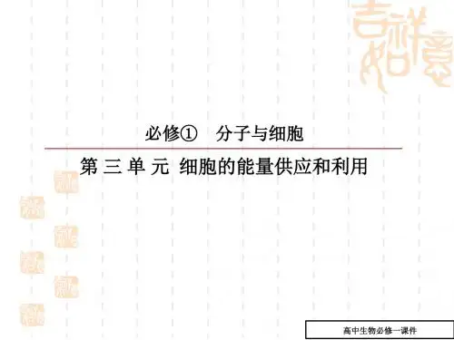 细胞的能量供应和利用课件3(高二生物)