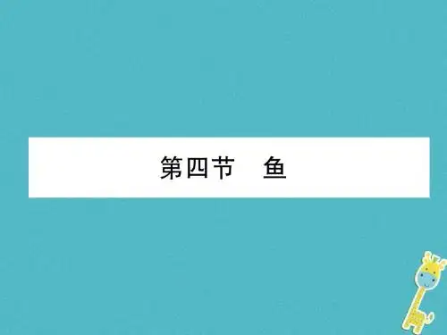八年级生物上册5.1.4鱼作业课件新版新人教版