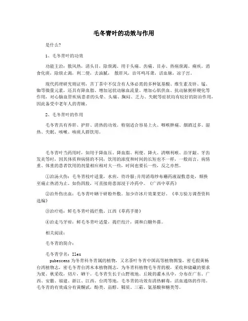 毛冬青叶的功效与作用