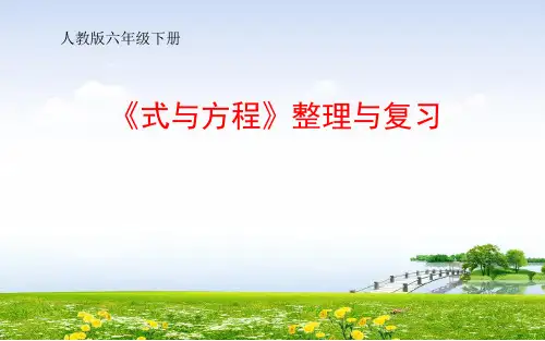 人教版六年级数学下册《式与方程》整理与复习