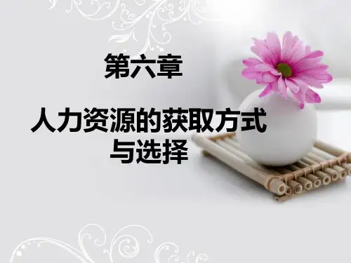 人力资源的获取方式及选择