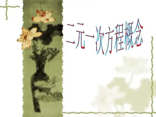 二元一次方程组解法资料