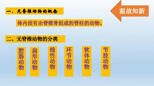 七年级生物上册脊椎动物的主要类群