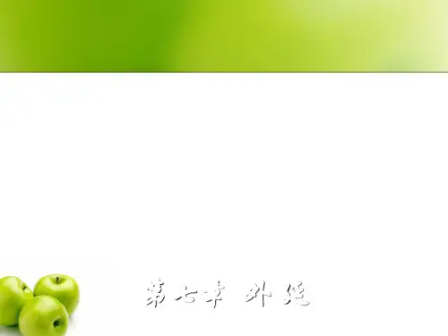 第7章 外延
