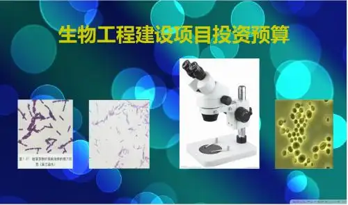 生物工程建设项目投资预算