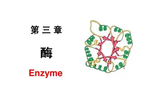 3酶