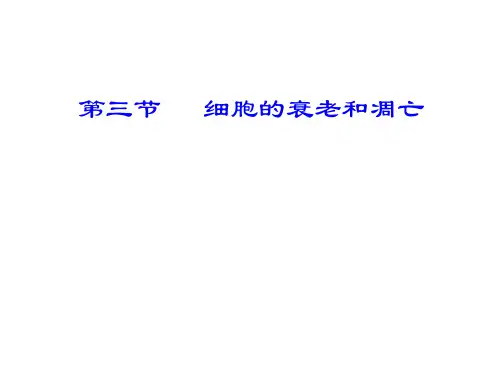 6.3细胞的的衰老和凋亡  课件  (新人教版  必修1)