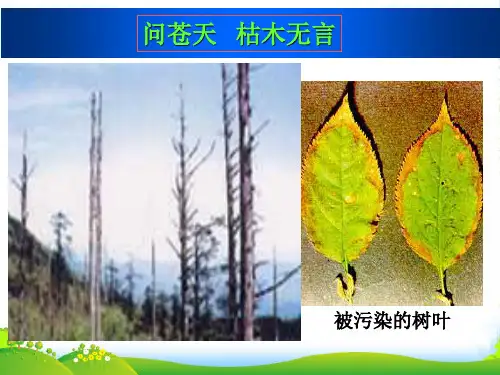 人教版高中化学必修一第四章第三节硫和氮的氧化物课件(共23张PPT)