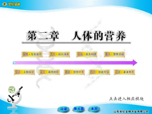 初中生物  中考复习  人教版   七下  第四单元 第二章 人体的营养