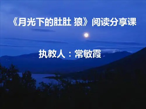 肚肚狼ppt