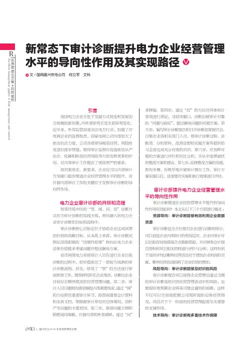 新常态下审计诊断提升电力企业经营管理水平的导向性作用及其实现路径
