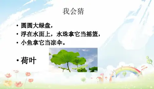 部编本人教版小学一年级语文下册荷叶圆圆(PPT课件)