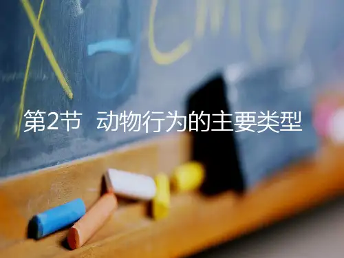 北师大版八年级生物上册《动物行为的主要类型 》课件3