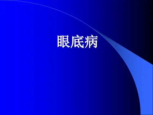 眼底病、动阻、静阻