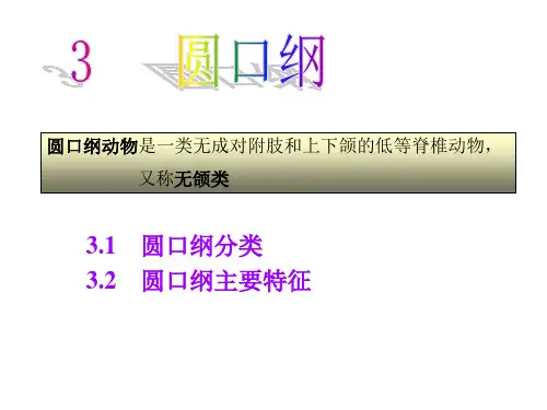 3 圆口纲