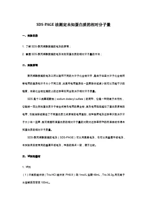 SDS-PAGE法测定未知蛋白质的相对分子量