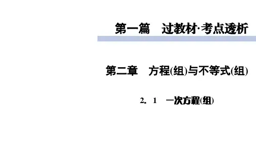 中考数学复习 一次方程(组)
