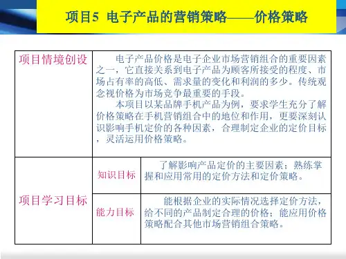 制定电子产品的定价策略