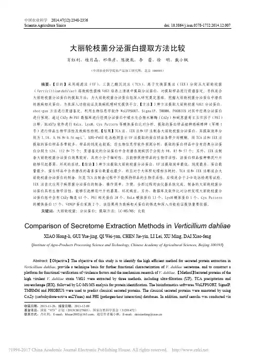 大丽轮枝菌分泌蛋白提取方法比较_肖红利