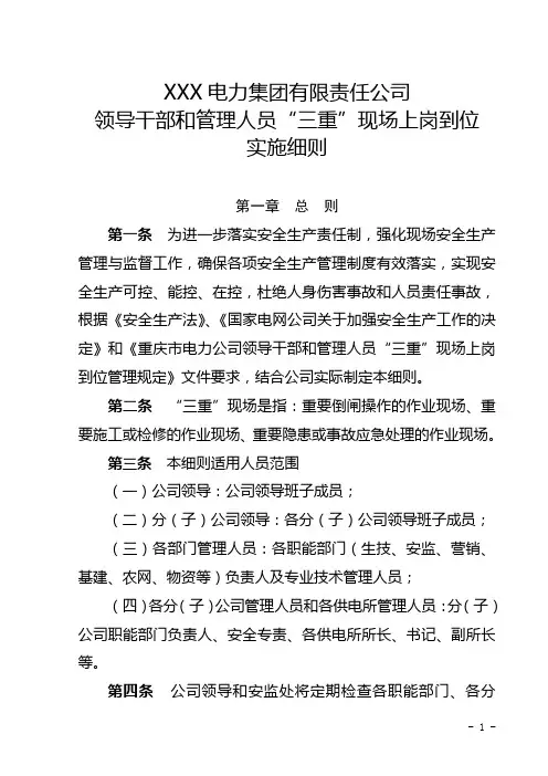 XX电力公司领导干部三重现场管理办法细则