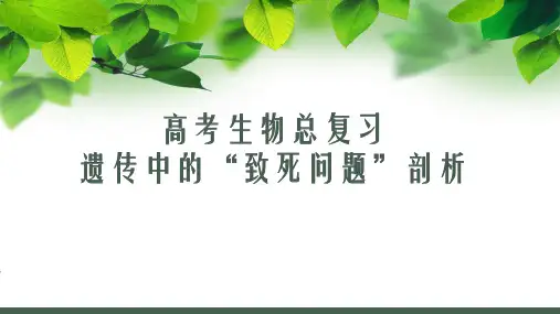 高考生物总复习之遗传中“致死问题”剖析(共31张PPT)(共31张PPT)