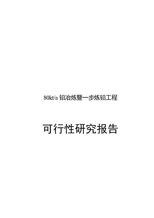 年产80千吨铅冶炼暨一步炼铅项目工程可行性研究报告
