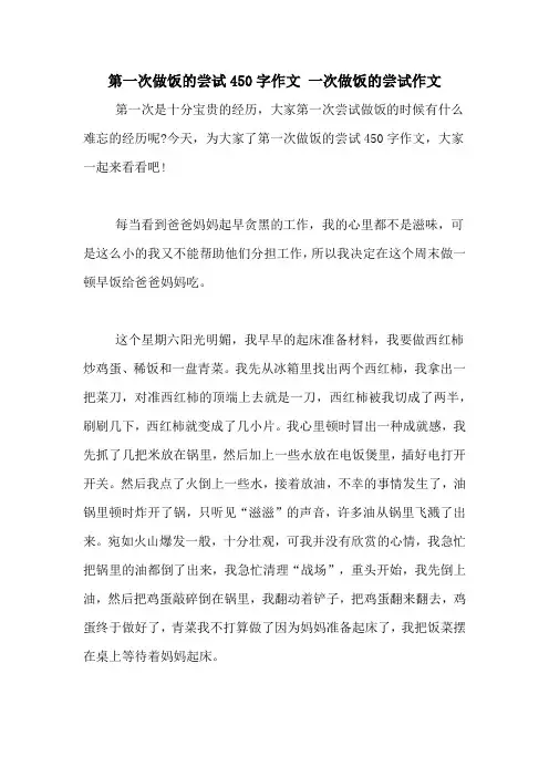 第一次做饭的尝试450字作文 一次做饭的尝试作文