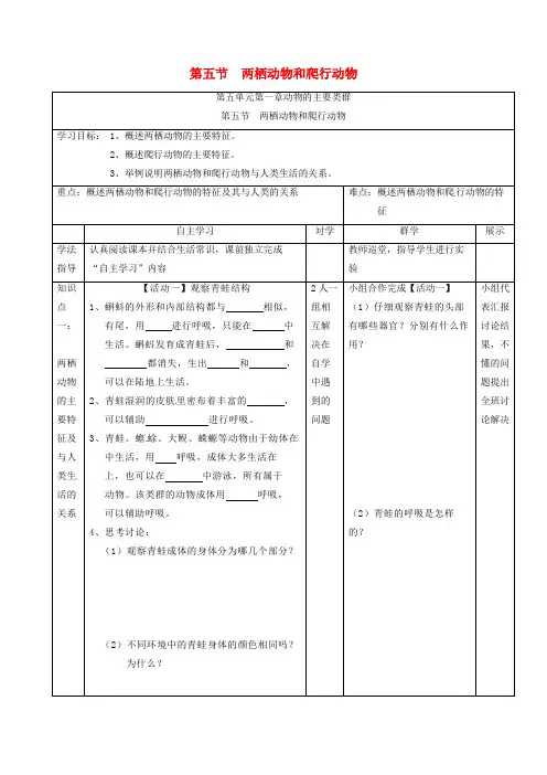 两栖动物和爬行动物 4