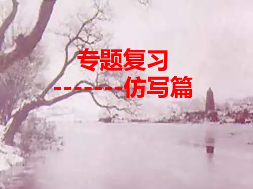 中考专题复习:仿写