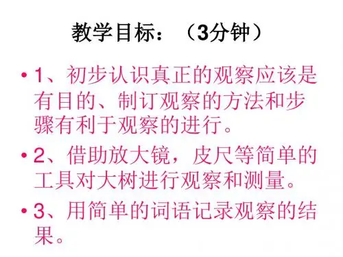 教科版科学三上《我看到了什么》PPT课件5