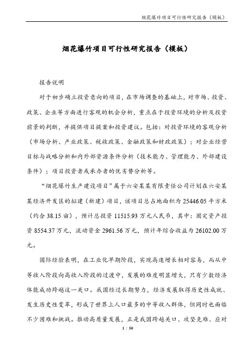 烟花爆竹项目可行性研究报告(模板)