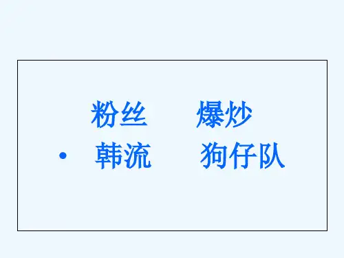 流行语与社会文化现象