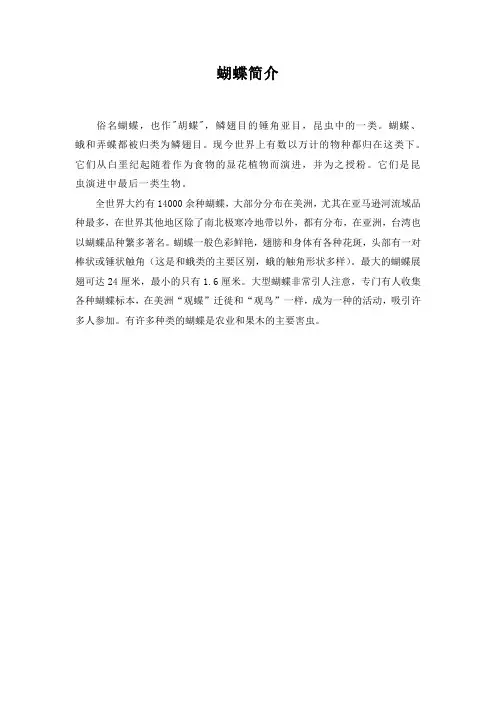 蝴蝶简介