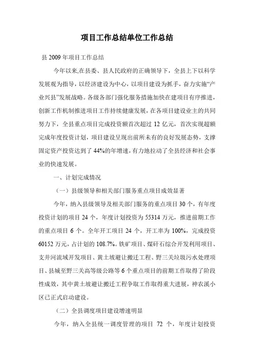 项目工作总结单位工作总结