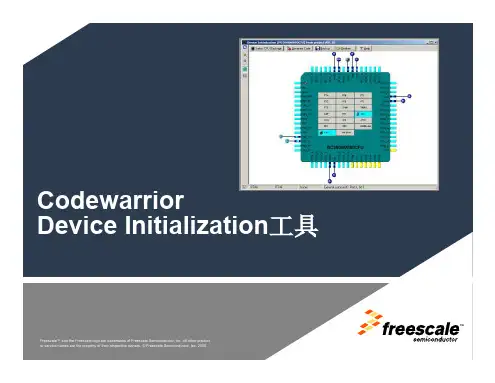 Device Initialization使用指南
