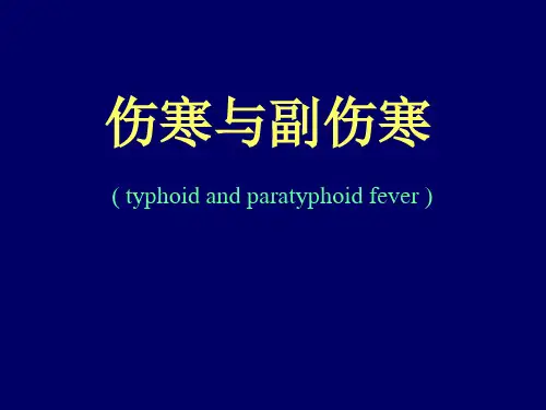 伤寒与副伤寒