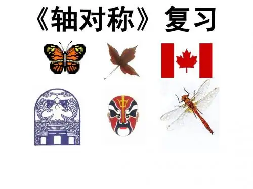 轴对称的复习