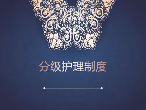 分级护理制度PPT课件
