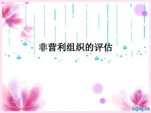 非营利组织评估理论综述