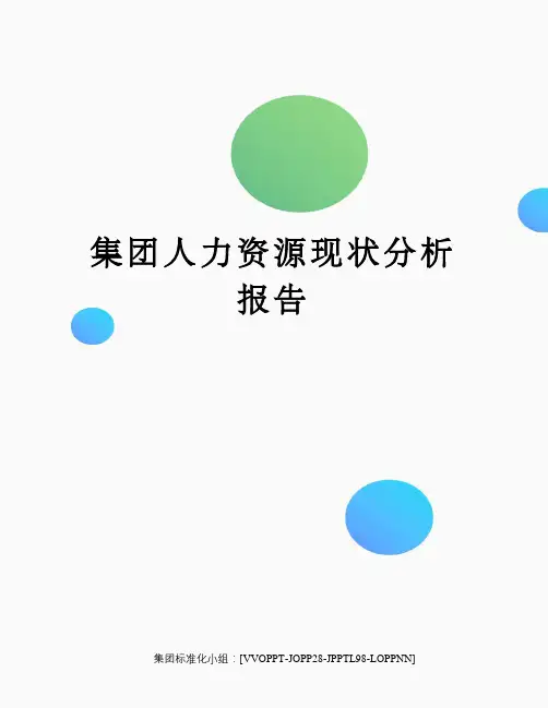 集团人力资源现状分析报告
